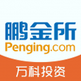 鹏金所网页版