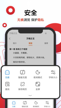 Opera浏览器汉化版截图3