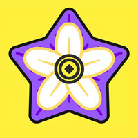 星辰花简版