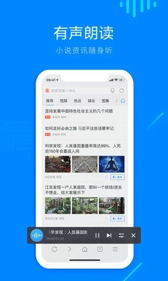 safari浏览器完整版截图2